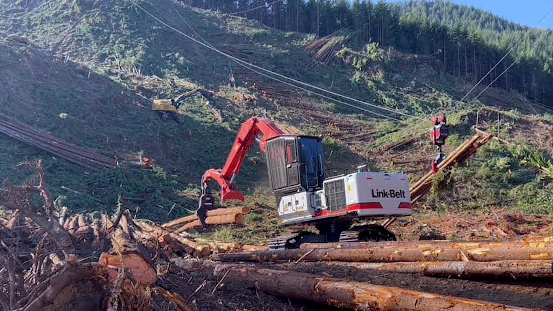 Still Frame from Video